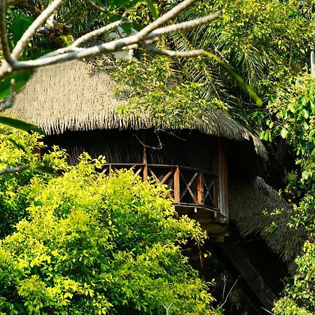 胡马泰拉绿色山林小屋 希克杜沃 外观 照片