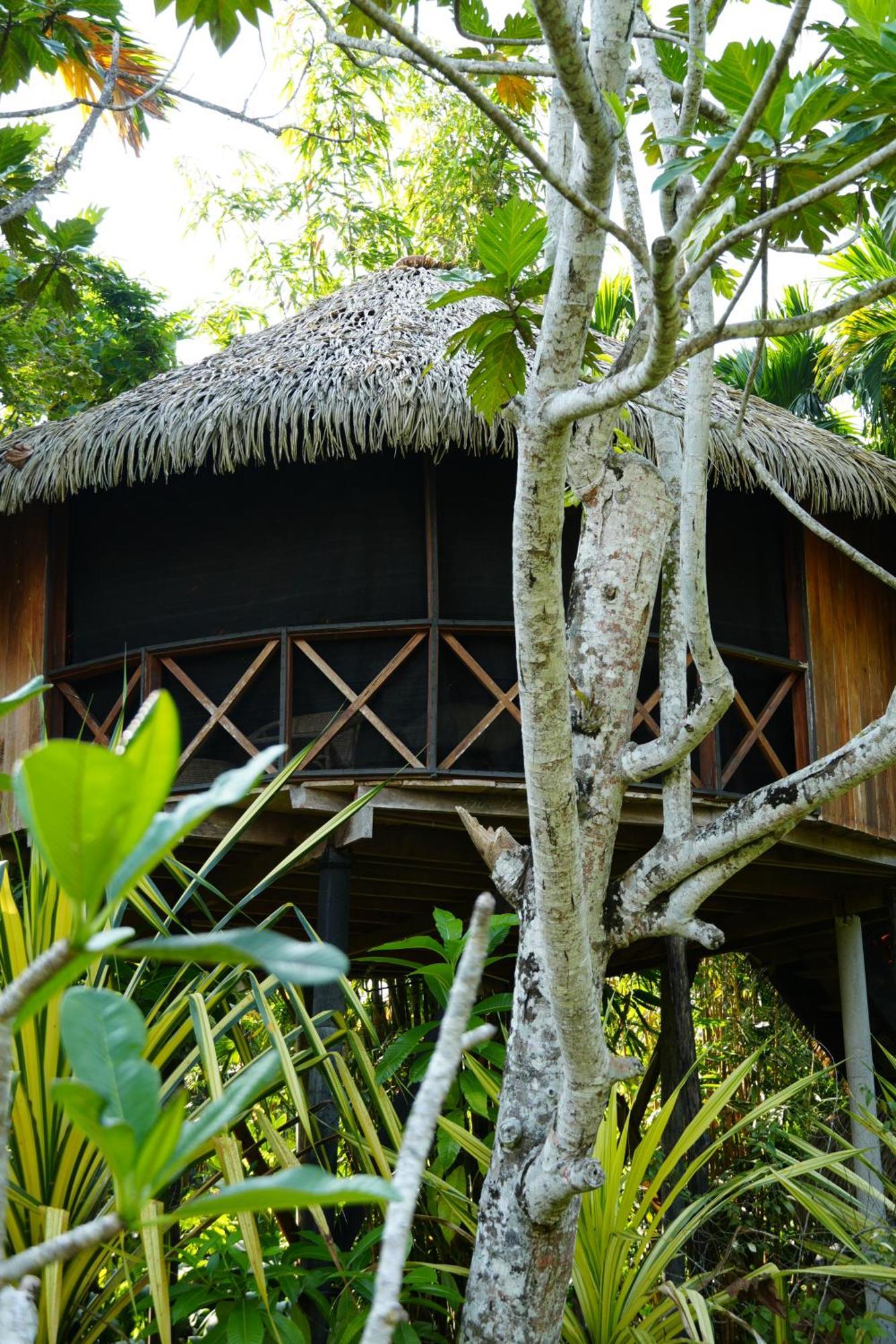 胡马泰拉绿色山林小屋 希克杜沃 外观 照片