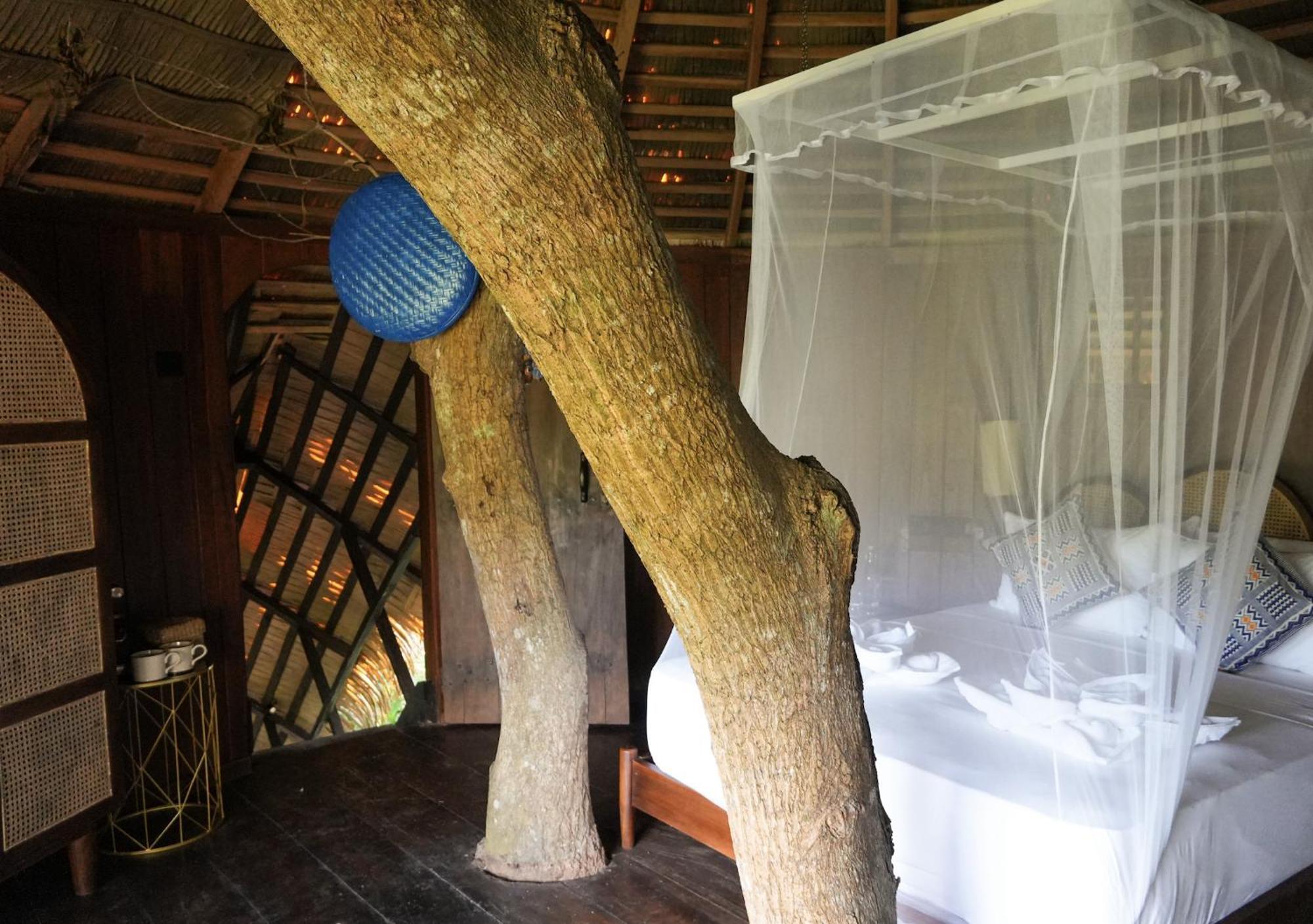 胡马泰拉绿色山林小屋 希克杜沃 外观 照片