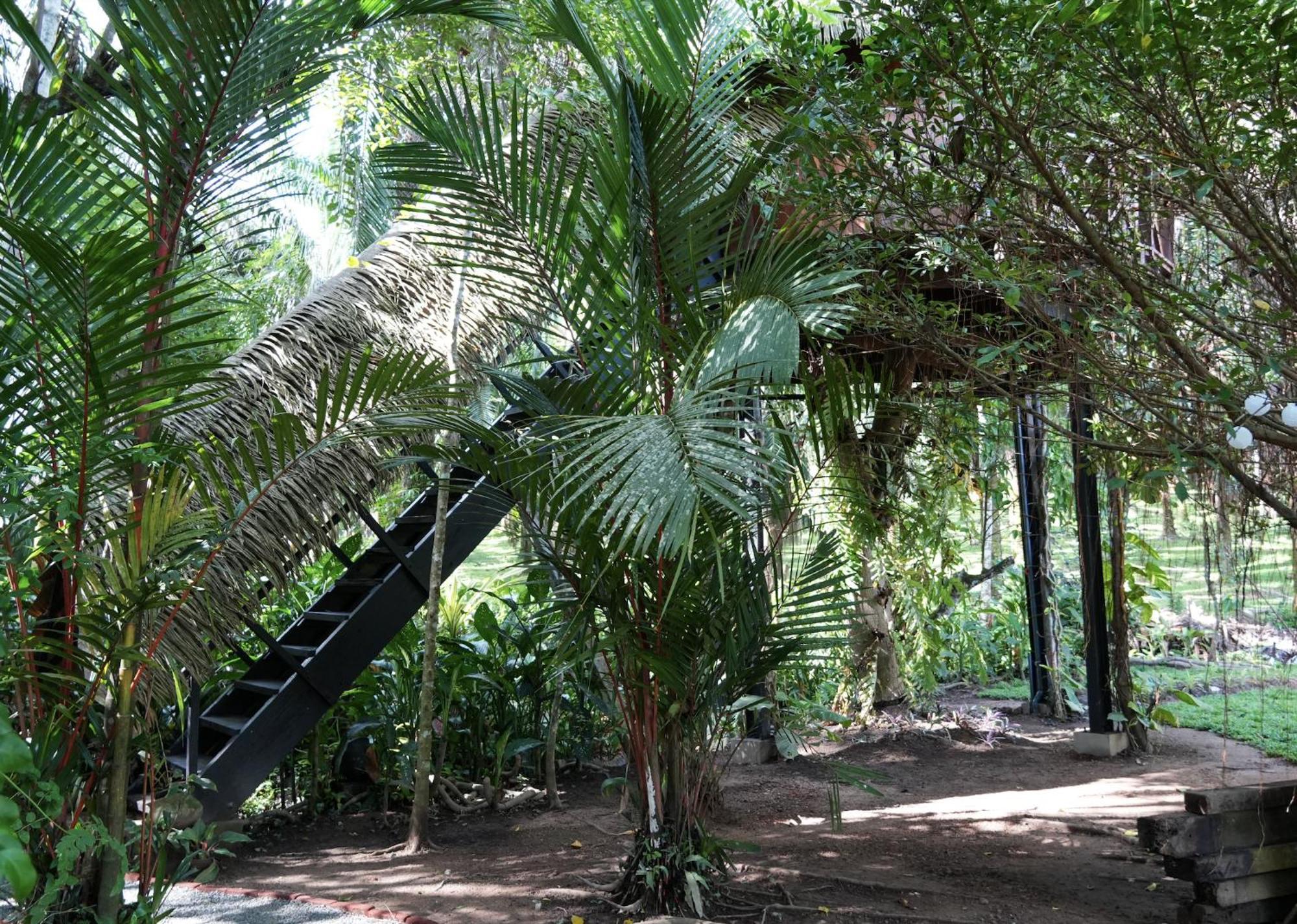 胡马泰拉绿色山林小屋 希克杜沃 外观 照片
